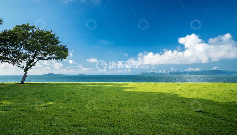 高清大图下载【趣麦麦图】湖畔孤树旁的广阔绿草地