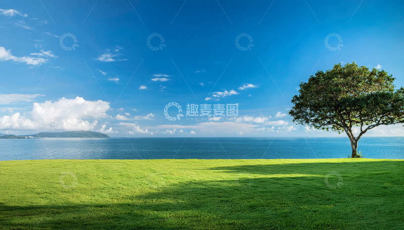 高清大图下载【趣麦麦图】海边独树与广袤绿草地