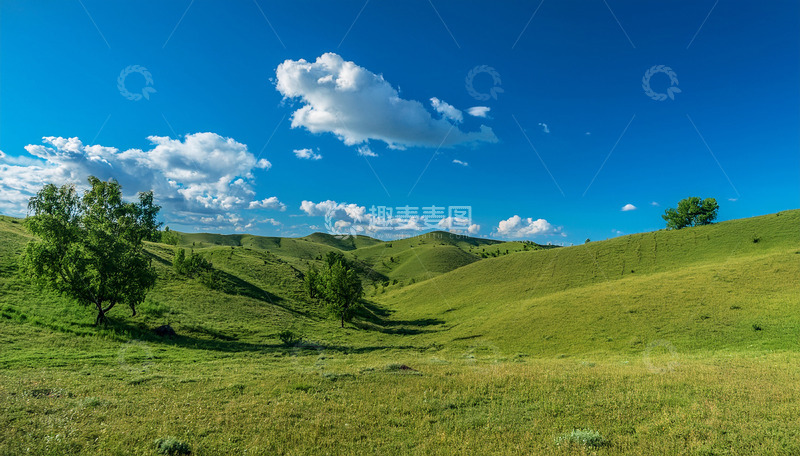 高清大图下载【趣麦麦图】起伏草坡上的稀疏树木