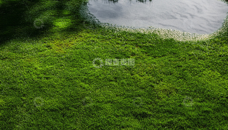 高清大图下载【趣麦麦图】绿草如茵的湖边局部景致