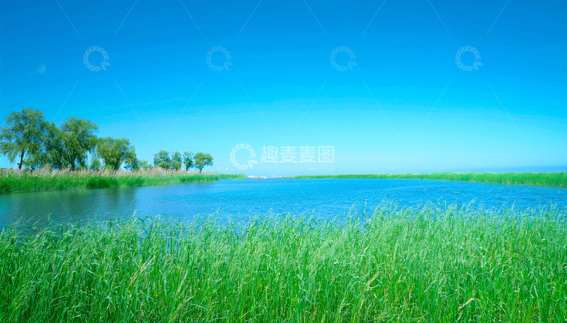 高清大图下载【趣麦麦图】蓝天碧水旁的葱郁草地