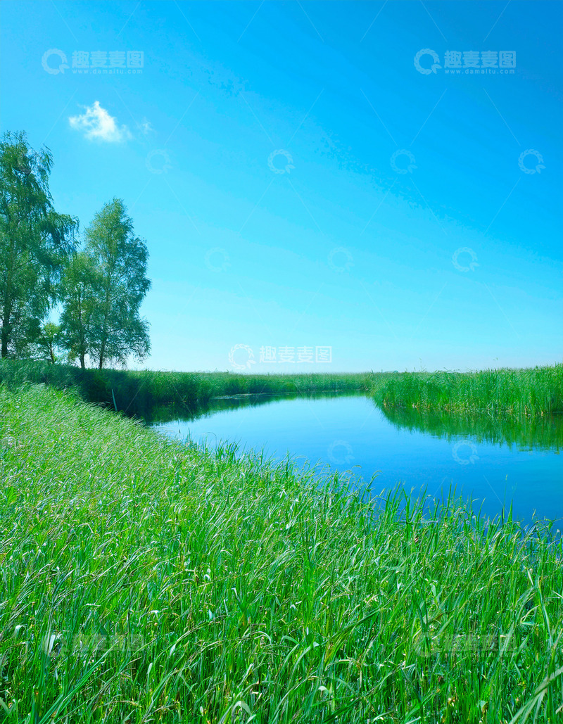 高清大图下载【趣麦麦图】湖畔葱郁草地与蓝天绿树