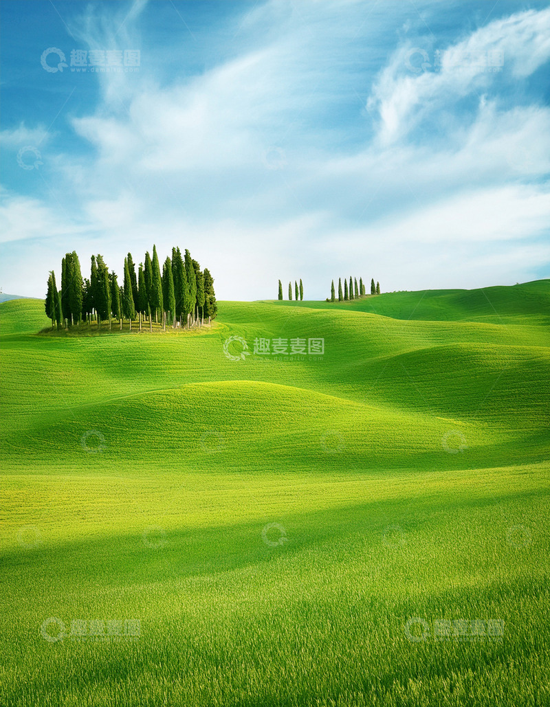 高清大图下载【趣麦麦图】绿丘上的挺拔柏树林立景