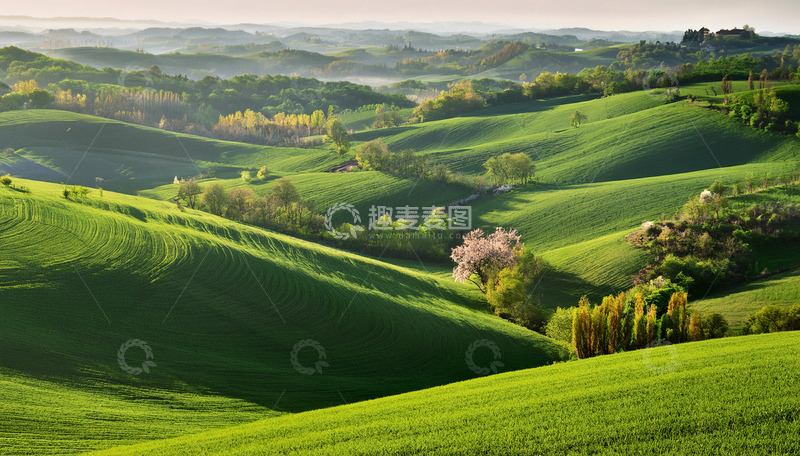 高清大图下载【趣麦麦图】晨光中起伏的翠绿山丘