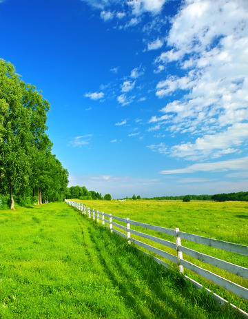 绿树栅栏旁的广阔绿草地