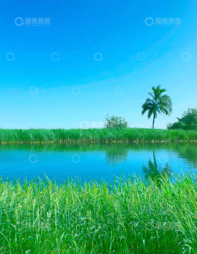 高清大图下载【趣麦麦图】碧水边的青草与孤树蓝天