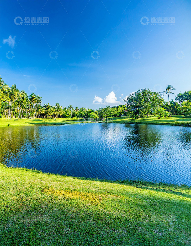 高清大图下载【趣麦麦图】阳光照耀的湖泊与绿植风光