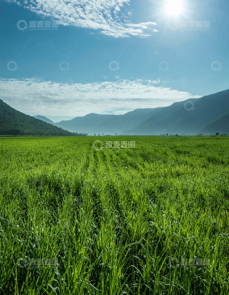 高清大图下载【趣麦麦图】晴日里广袤的山间绿原