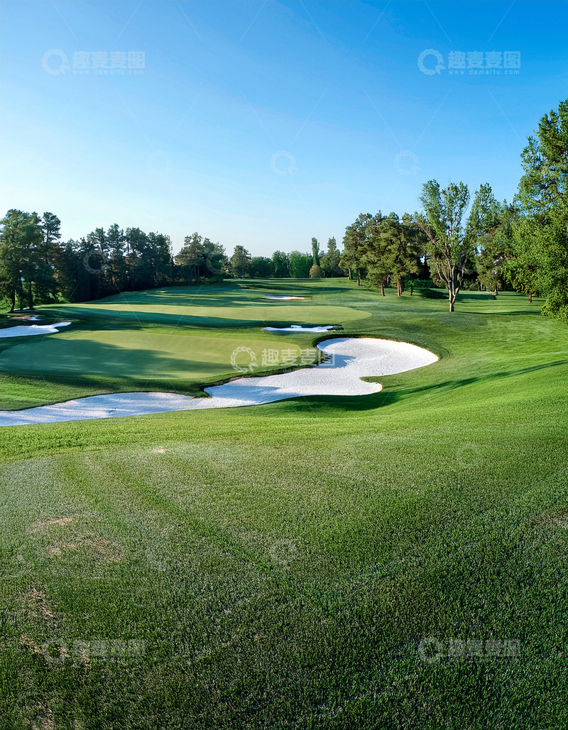 高清大图下载【趣麦麦图】绿树环绕的高尔夫球场景致