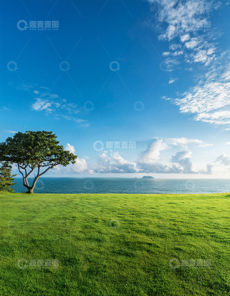 高清大图下载【趣麦麦图】海滨草地的孤树与蓝天