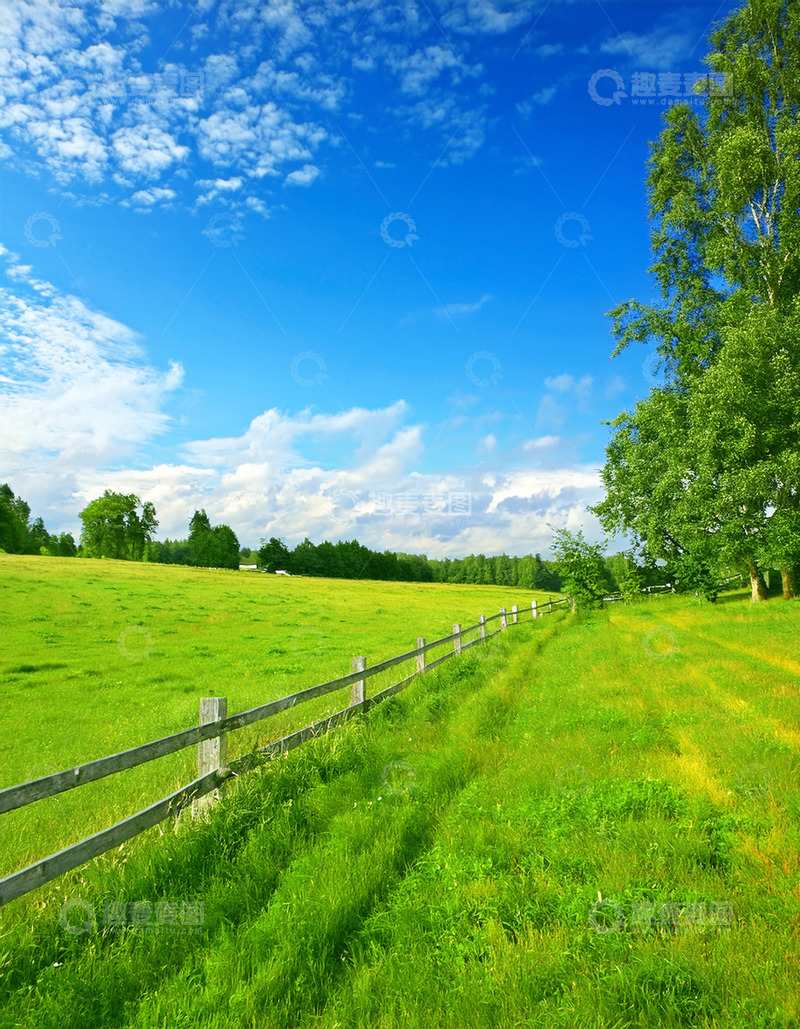 高清大图下载【趣麦麦图】木栅栏边的葱郁绿草地