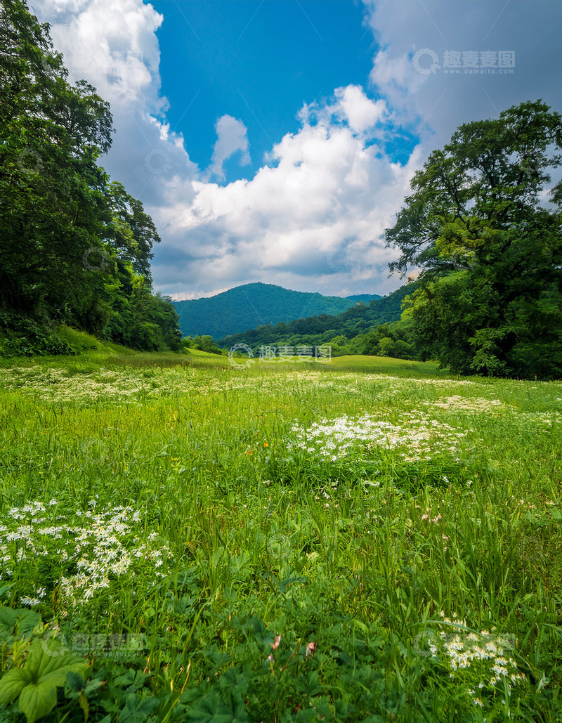高清大图下载【趣麦麦图】青山绿树间的繁花草地白云树木自然