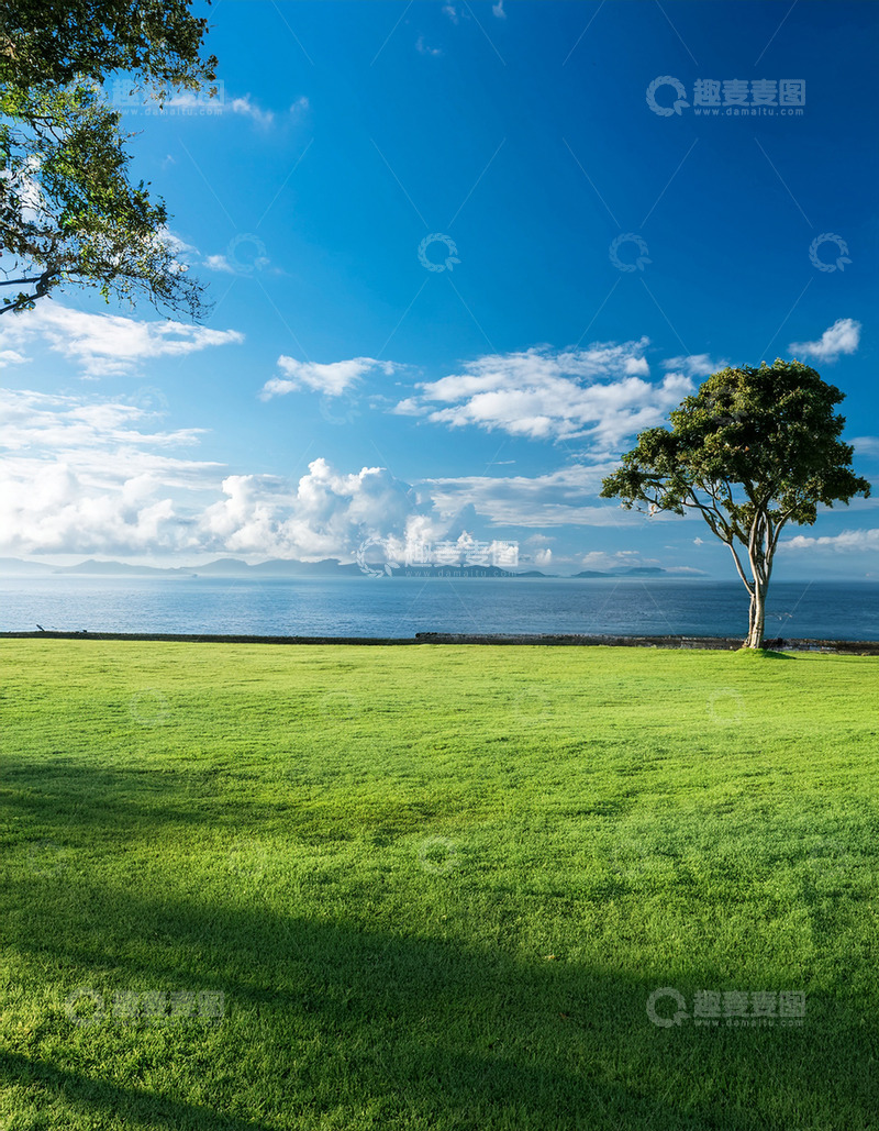 高清大图下载【趣麦麦图】绿地上树影斑驳的海滨风光