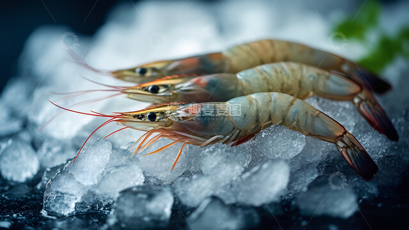 高清大图下载【趣麦麦图】新鲜海鲜大虾青虾美食摄影图