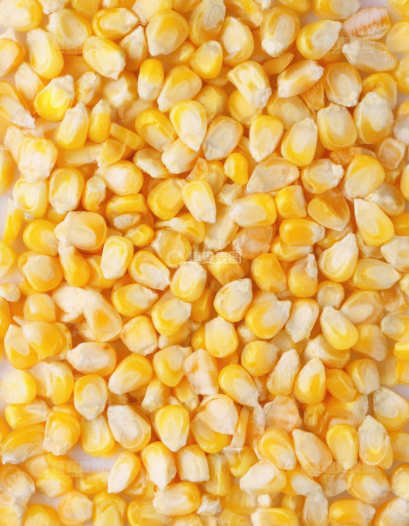 高清大图下载【趣麦麦图】密集排列的金黄玉米粒农产品丰收颜色