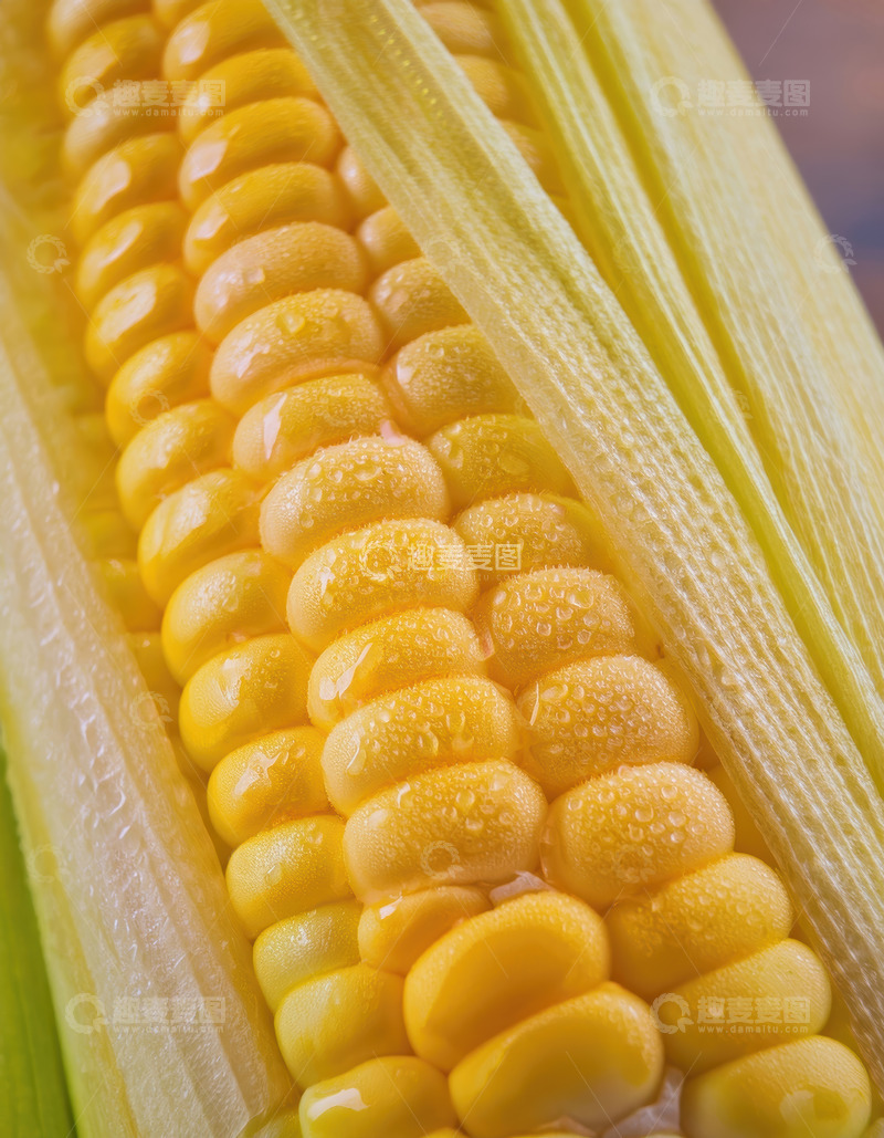高清大图下载【趣麦麦图】带皮玉米上晶莹饱满的玉米粒