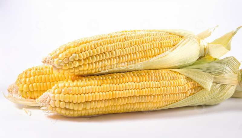 高清大图下载【趣麦麦图】白背景下摆放的新鲜带皮玉米
