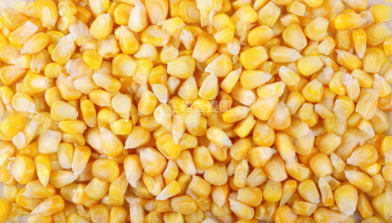 高清大图下载【趣麦麦图】密集排列的金黄玉米粒金黄玉米粒烹饪排列