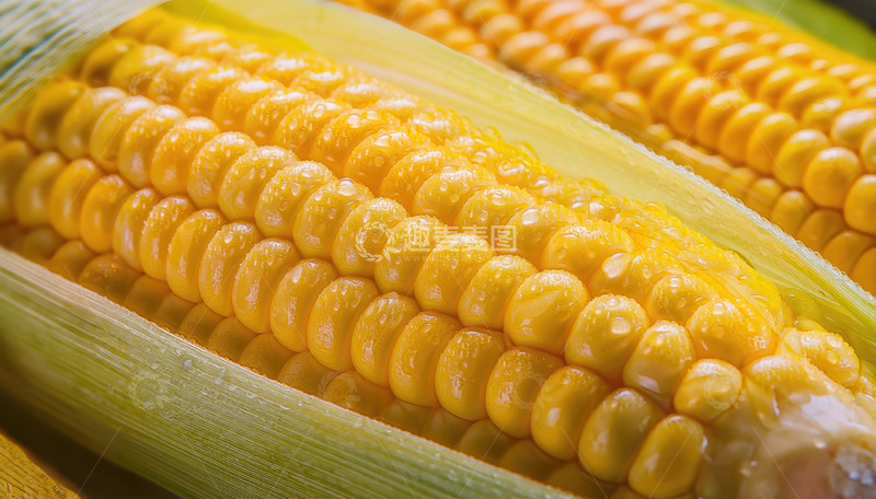 高清大图下载【趣麦麦图】特写：鲜嫩饱满的金黄玉米粒