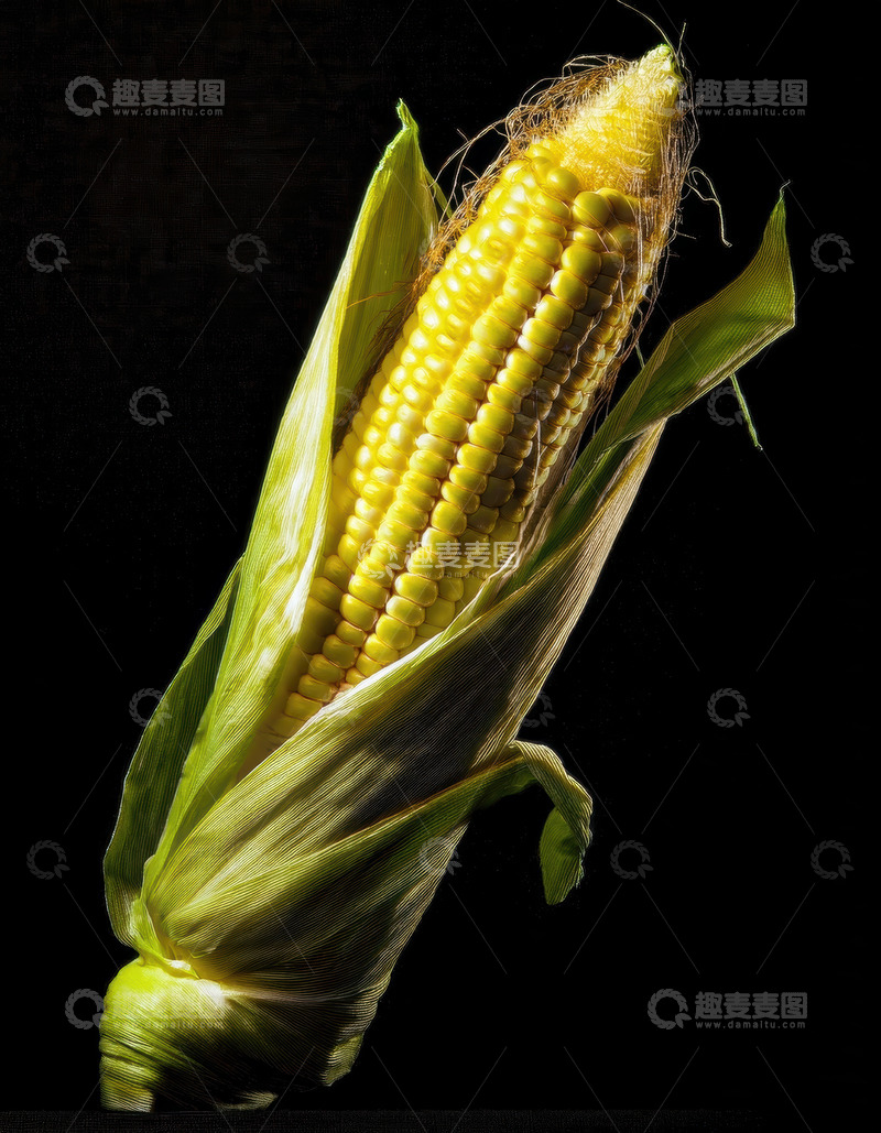 高清大图下载【趣麦麦图】黑背景下带叶的鲜玉米