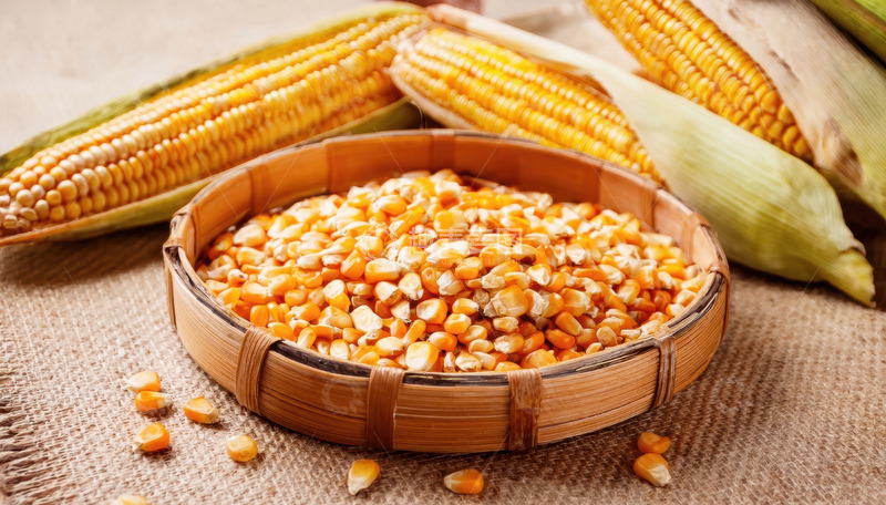 高清大图下载【趣麦麦图】竹筐中及周边的金黄玉米粒