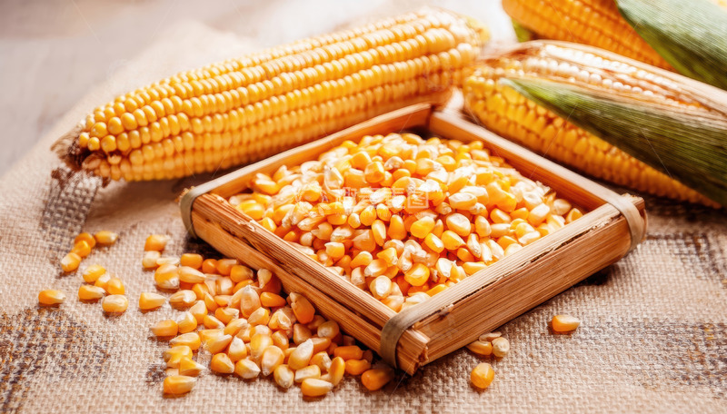 高清大图下载【趣麦麦图】木框内及旁散落的金黄玉米粒