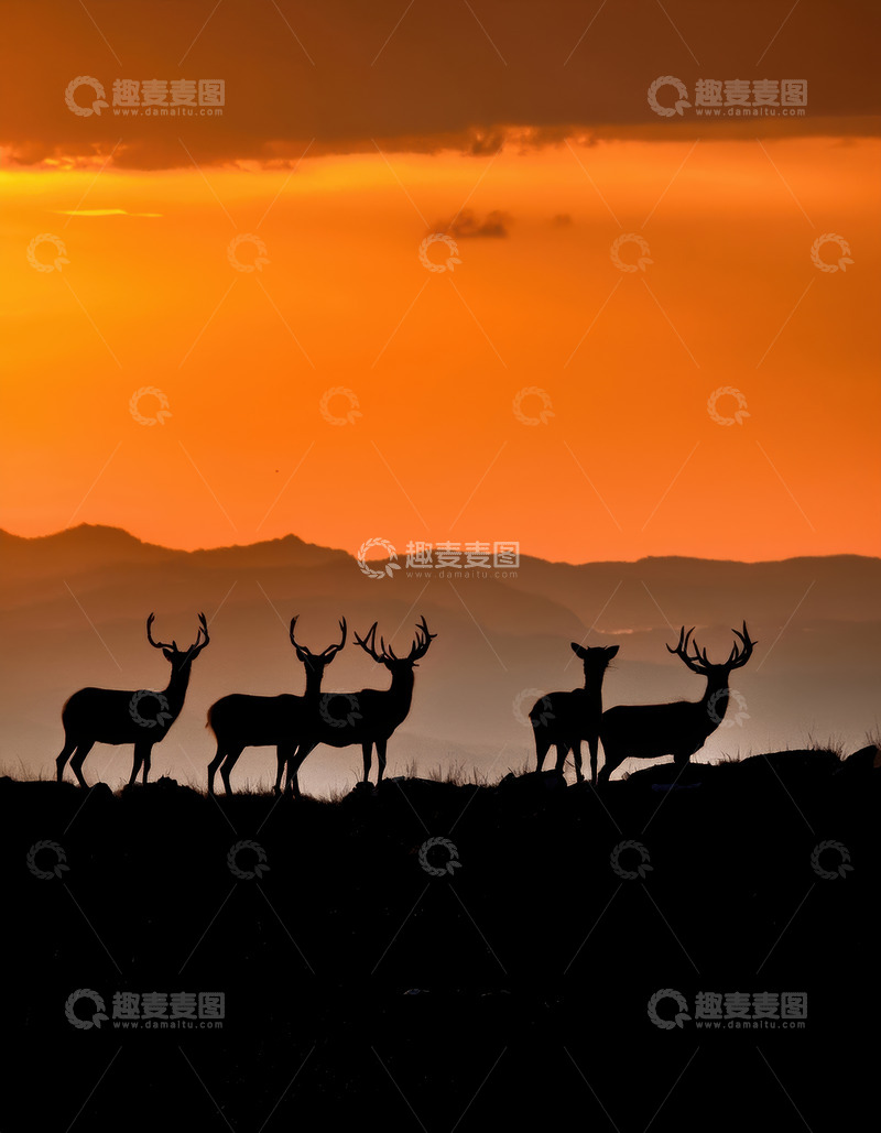 高清大图下载【趣麦麦图】夕阳下鹿群的黑色剪影