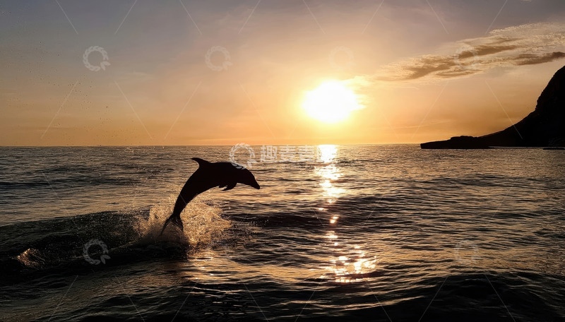 高清大图下载【趣麦麦图】日落时海豚跃出海面的剪影