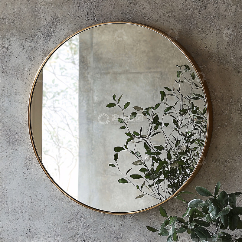 高清大图下载【趣麦麦图】圆形镜子前绿色植物