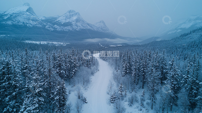 高清大图下载【趣麦麦图】雪山森林公路