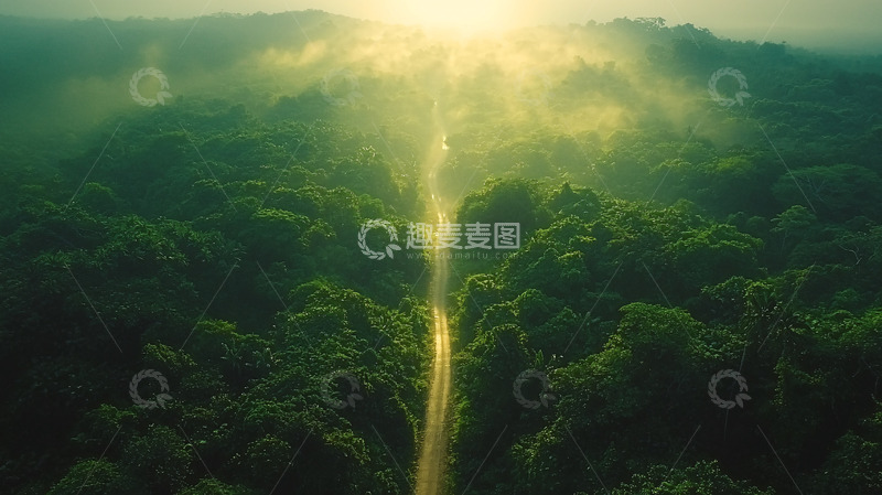 高清大图下载【趣麦麦图】绿色森林阳光照耀道路