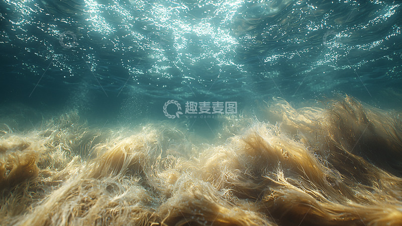 高清大图下载【趣麦麦图】海底光线