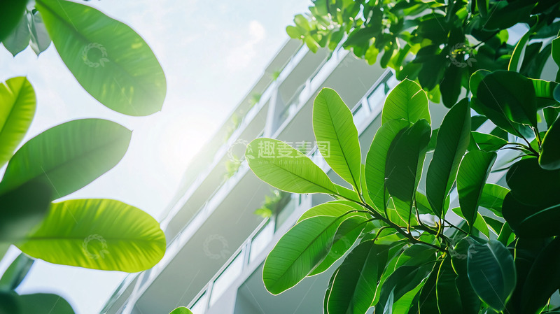 高清大图下载【趣麦麦图】绿叶掩映下的现代建筑