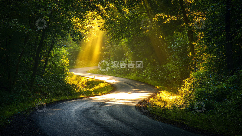 高清大图下载【趣麦麦图】阳光穿过树林照亮道路