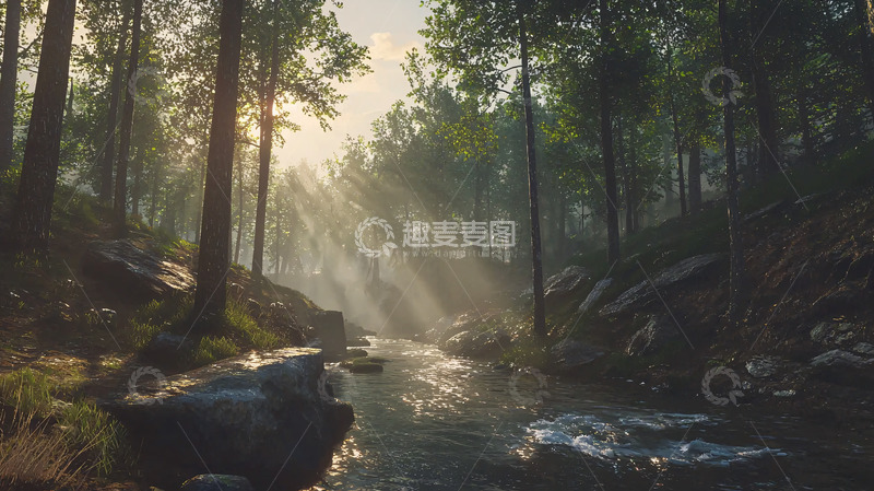 高清大图下载【趣麦麦图】阳光透过森林树林