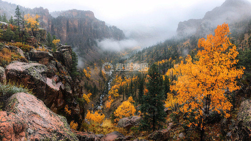 高清大图下载【趣麦麦图】秋日山谷雾景