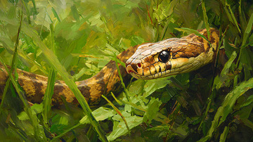 水草中棕黄相间的蛇