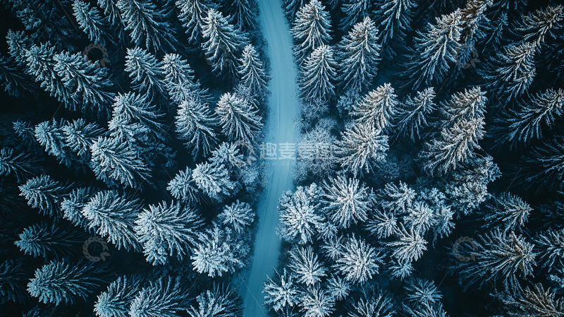 高清大图下载【趣麦麦图】雪覆盖的森林鸟瞰