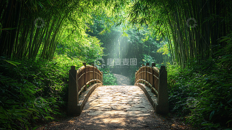 高清大图下载【趣麦麦图】竹林中的小桥