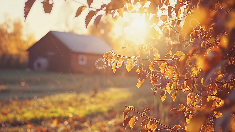 高清大图下载【趣麦麦图】秋日夕阳下的乡村小屋