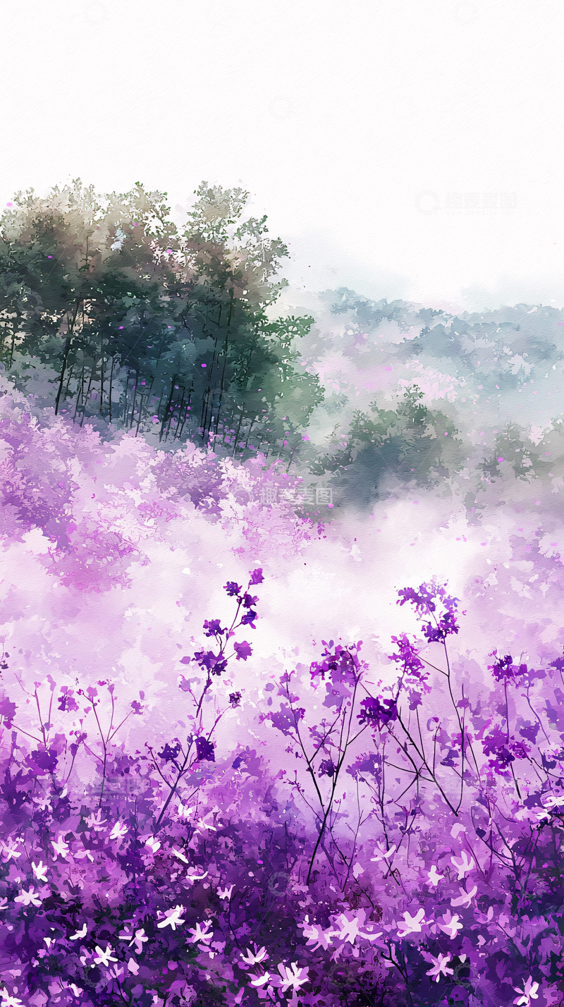 高清大图下载【趣麦麦图】紫色花海2