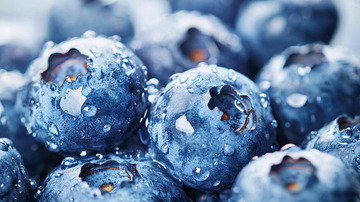 新鲜蓝莓特写