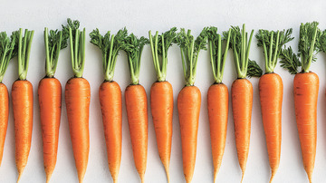 整齐排列的新鲜胡萝卜