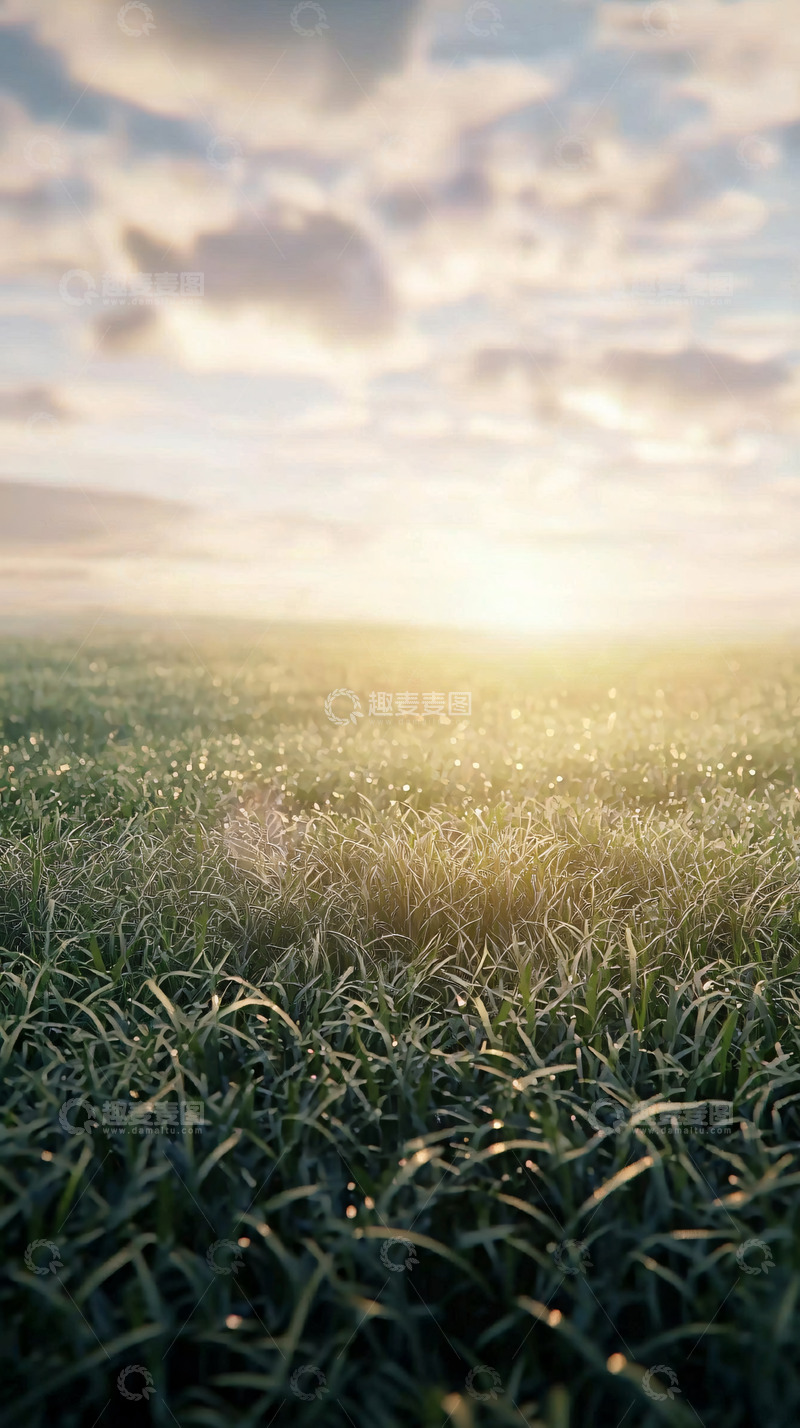 高清大图下载【趣麦麦图】清晨草地日出美景