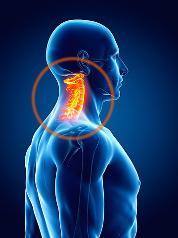 颈椎健康医学图示摄影