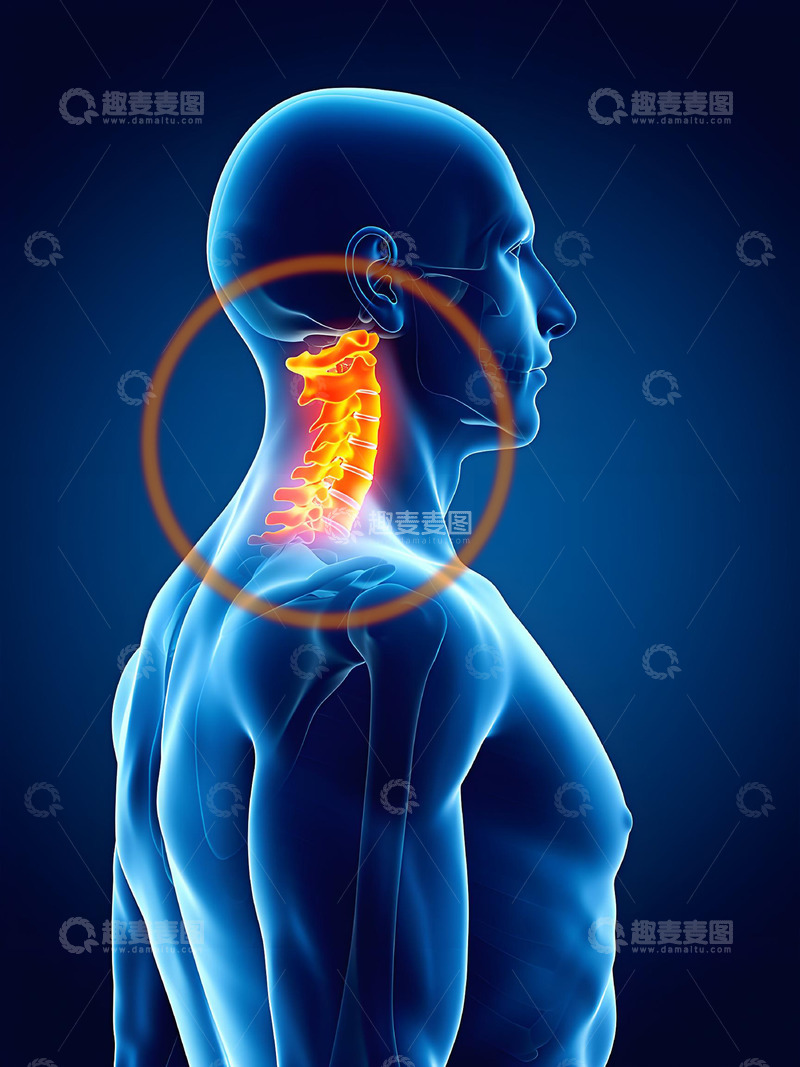 高清大图下载【趣麦麦图】颈椎健康医学图示摄影