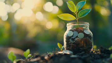 玻璃瓶中种着小树苗