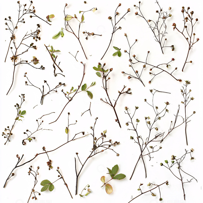 高清大图下载【趣麦麦图】白色背景