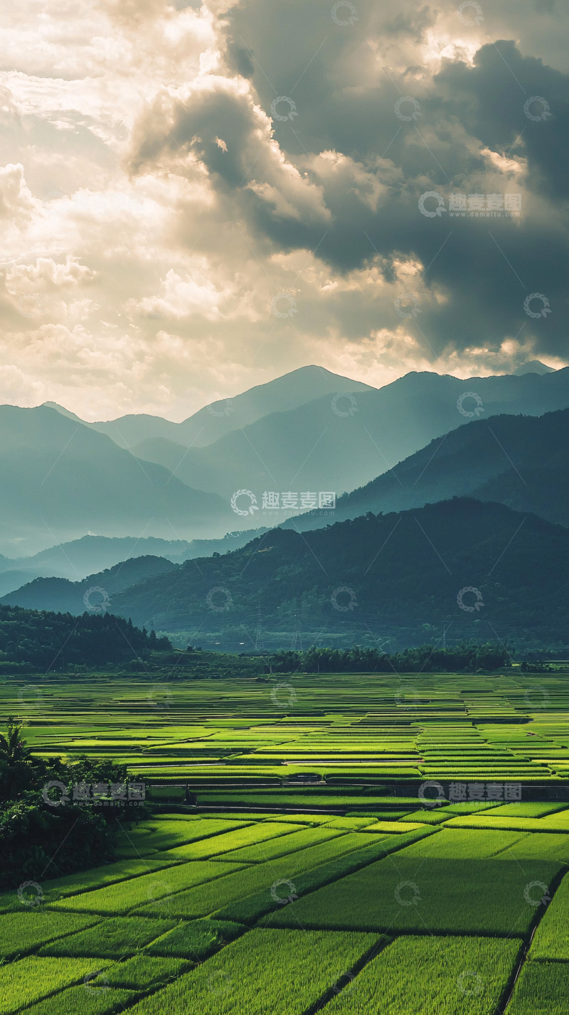 高清大图下载【趣麦麦图】山峦叠嶂下的绿油油稻田