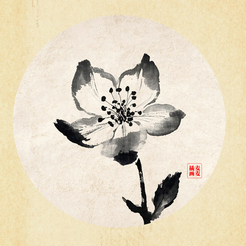 水墨梨花插画